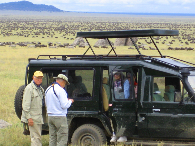 African safaris, Tanzania wildlife tours