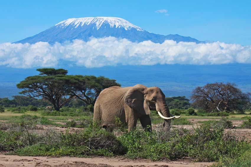 mount-kilimanjaro