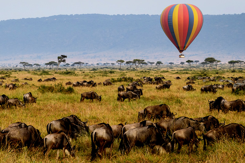 Serengeti-Balloon-Safaris